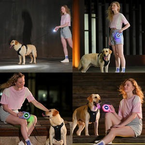 Logotipo personalizado Entrenamiento al aire libre Led Nylon Ajustable Automático Iluminado Correa retráctil para perros con accesorios flexibles - Product Image 6