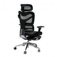 Chaise de bureau ergonomique en tissu maillé, nouveau Design, Support lombaire, avec repose-pieds, BIFMA passé