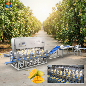 Commercial Mango Processing Manufacturer Mango Peeling Machine and <b>Slicing</b> Machine - Product Image 1