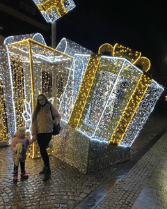 Boîte cadeau lumineuse LED 3D personnalisée, étanche IP65, pour intérieur et extérieur, décorations de Noël et de fêtes, éclairage décoratif - Product Image 1