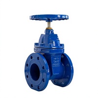 Katup Gerbang Segel Lunak Batang Tidak Naik (Non-Rising Stem) Berflens Manual OEM, Katup Sluice Besi Ulet untuk Saluran Minyak dan Air Industri