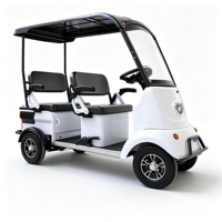 Voiturette de golf électrique 4 places, batterie lithium 48V, véhicule à basse vitesse homologué pour la route, mini camionnette électrique de transport à carrosserie ouverte