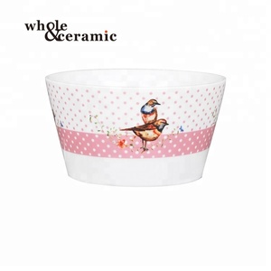 Chaudron en céramique bol à soupe et assiette service de vaisselle de restauration couverts de 5.5 pouces pour fruits de hamster - Product Image 2
