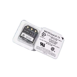 Capteur de gaz combustible City Micropel 75 CH4 SR-W-MP75 pour la détection du méthane - Product Image 4