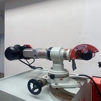 Máquina Automática de Afilado de Dientes para Hojas de Sierra de Carburo de Tungsteno TCT