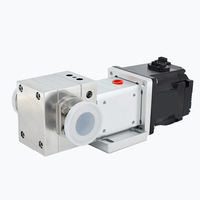 Pompe à engrenages à entraînement magnétique en acier inoxydable 316L, PEEK, PTFE, nettoyage sans démontage avec moteur DC sans balais pour machine à expresso