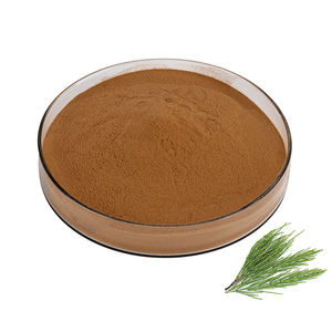 Ekstrak silika ekor kuda organik Premium bubuk Equisetum Arvense 10:1 7%-10% silika 25kg Drum kosmetik grosir - Product Image 2
