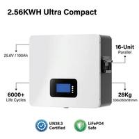 Batterie murale LiFePO4 25,6 V 100 Ah 2,56 kWh pour stockage solaire domestique avec BMS RS485/CAN Bluetooth WiFi 6000+ cycles