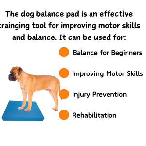 Tappetino per allenamento per terapia fisica del cane Non Slip cane attrezzatura per esercizi di riabilitazione - Product Image 6