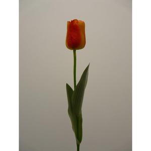 ทิวลิปสเปรย์ X1 65CM หรือ - Product Image 1