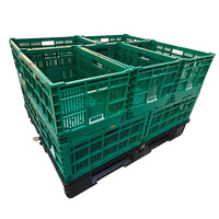 Caisses de Récolte de Fruits en Plastique PP 100% Qualité Alimentaire, Pliables et Ventilées, Conteneurs de Stockage Agricole