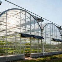 Serre multispan à bas prix pour légumes Serre agricole rentable de qualité supérieure Serre personnalisée à vendre
