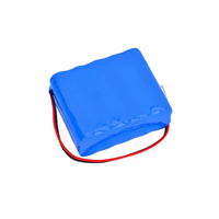 Batterie puissante NI-MH 12V 3800mAh | Idéal pour les onduleurs solaires, les systèmes UPS et les applications d'alimentation CC