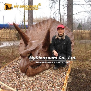 Khủng long của tôi j27 khủng long xương hóa thạch Triceratops đầu hóa thạch để bán - Product Image 2
