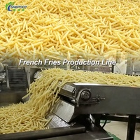 Shepody Kleine Schaal Volledig Automatische Machine voor het Maken van Diepvriesfrieten, Productielijn voor Verse Rauwe Aardappelchips