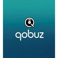 Qobuz Studio Premier 12-Monats-Abonnement Hi-Res Musik-Streaming-Dienst Privates Konto 1 Jahr Globaler Online-Musikplayer