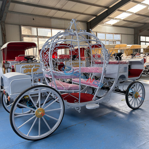 Nouvelle Conception 2026 : Carrosse Électrique Citrouille pour Événements Extérieurs, Mariages, Séances Photo, Parcs d'Attractions et Usage Touristique - Product Image 2