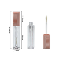 Tubes de brillant à lèvres transparents à couvercle rayé carré de 5 ml – Flacons en plastique pour emballages cosmétiques