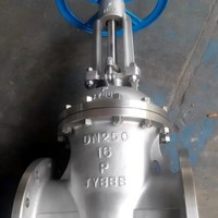 Válvula de Compuerta Industrial de Alto Rendimiento con Extremo Bridado, Vástago Ascendente de Hierro Fundido, Asiento Metálico y Acabado de Grado 316