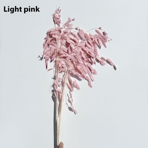 Fleurs Éternelles Petite Espoir <span class=keywords><strong>LYP</strong></span> Bouquet Naturel de Pampas Séchées Longue Durée Saint-Valentin Pâques Noël Fête des Mères - Product Image 3