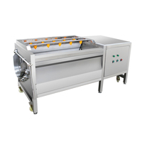 Machine à éplucher industrielle facile à utiliser pour patates douces, gingembre, kudzu – Sans bris, faible consommation pour transformateur de légumes