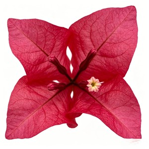 High Quality Real Touch <b>Artificial</b> Silk Bougainvillea <b>Trees</b> Durable <b>Indoor</b> Desktop Plants - Product Image 6