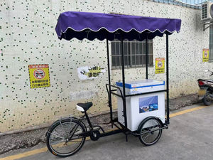 Vélo <span class=keywords><strong>cargo</strong></span> à crème glacée <span class=keywords><strong>non</strong></span> électrique, tricycle à 3 roues, trike/vélo/vélo de ville - Product Image 4