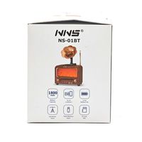 Speaker BT Nirkabel + Radio FM/AM/SW, Gramofon Retro NNS NS-01BT, Lampu Api, Slot USB/TF, 1800mAh 18650 Li-ion