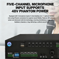 Processeur audio numérique DSP-100, amplificateur de puissance tout-en-un, stéréo classe AB, anti-feedback, mixeur pour salle de classe, salle de conférence, 2x150W
