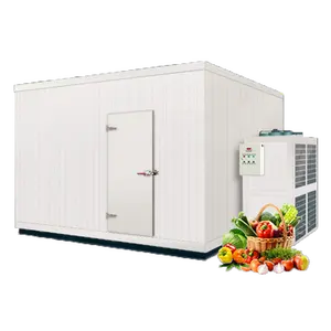 Hot sale commercial refrigeration warehouse 20ft mobile container walk in freezer room cooler cold storage room for fish meat