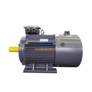 มอเตอร์เหนี่ยวนำแบบเหนี่ยวนำกระแสไฟฟ้าชนิดขดลวดโรเตอร์ Ye2-1600l-4 15kw ของ Weg - Product Image 2