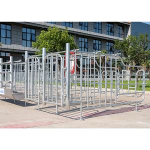 Nouvelles cages de gestation en acier galvanisé à chaud HengYin de haute qualité pour l'élevage porcin, certifiées CE, longue durée de vie - Product Image 6