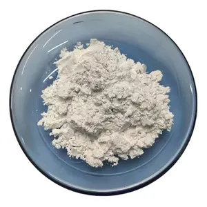 Snahiang批发价格涂层/高白度高纯轻质碳酸钙/塑料级Caco3重质碳酸钙