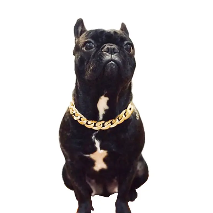 Vente en gros, chaîne cubaine décorative de haute qualité, collier en or pour chien