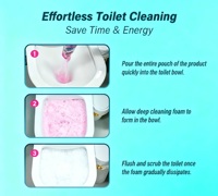 Poudre nettoyante moussante pour toilettes, à la mousse épaisse, adoucit la saleté, favorise le brossage manuel, nettoyage en profondeur, pour hôtels et foyers, marque privée, en vrac
