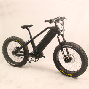 2023 Kép Pin Chất Béo Lốp E Xe Đạp 48V 1000W bafang Giữa Ổ Đĩa Cổng Vành Đai Săn Bắn Xe Đạp Điện - Product Image 3