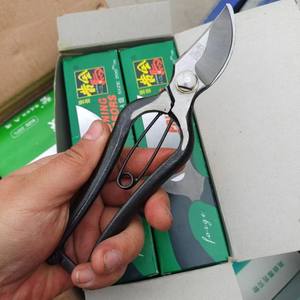 กรรไกรตัดแต่งกิ่ง Golden Horse ขนาด 200 มม. ใบมีดเหล็กคาร์บอน สำหรับทำสวนและตัดแต่งดอกไม้ - Product Image 4