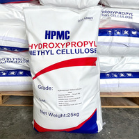 Selulosa Eter HPMC HPMC Metil Selulosa Tylose 200000 Viskositas Bubuk Putih Aditif Kemurnian 99% 25kg/karung Tahan Air