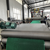 Línea de Extrusión de Césped Artificial AMCO para Exteriores con PLC, Rodamientos y Caja de Cambios para Alta Productividad en Jardines Domésticos