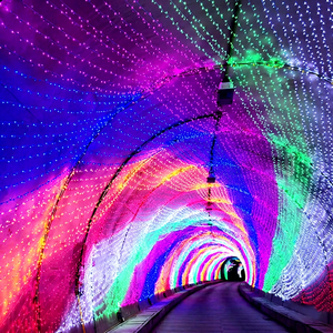 Luces LED de túnel navideño, colores personalizables, para el Día de San Valentín, impermeables para exteriores IP65, para pasillos de parques temáticos, iluminación comercial - Product Image 1