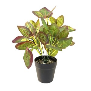 Planta Artificial Verde Bonsái de 28cm de Altura, Duradera, Decoración Interior en Maceta para Sala de Estar, Balcón, Escaparate - Product Image 5