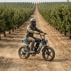<span class=keywords><strong>Vélo</strong></span> <span class=keywords><strong>électrique</strong></span> tout-terrain robuste de style Scrambler avec freins à disque hydrauliques, idéal pour l'entretien des vergers et les allées - Product Image 4