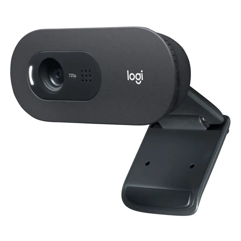 Origineel Voor Logitech C505e Hd Business 720plong-range Mic Webcam Live Streaming Computer Camera Online Conference Classes Chat