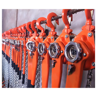 Nouveau palan à chaîne manuel en acier 2 tonnes Mini grue Bloc de levage à chaîne avec élingue en câble métallique Protection IP55 Garantie 1 an