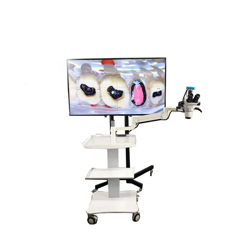 Microscope binoculaire LED, appareil de chirurgie dentaires, 0-180 degrés, en stock