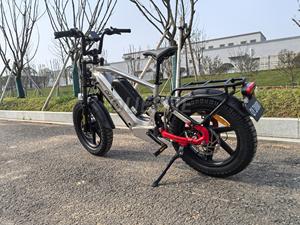 Bicyclette de <span class=keywords><strong>chasse</strong></span> 20 pouces Pro Fast Electric Snow Fat Tyre 48V60V Dual Motors Electric Off-Road Bicycle Racing Bicicleta - Product Image 3