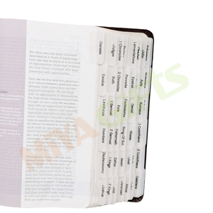 Tùy chỉnh tối giản vellum Kinh Thánh Tab mờ mờ Tạp Chí chỉ số dán 66 tiếng Anh Pháp kịch bản tự dính Christian - Product Image 6