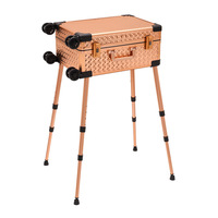 Chine usine bas quantité minimale de commande facile à transporter interrupteur tactile portable lumière led maquillage boîtier en aluminium avec roue