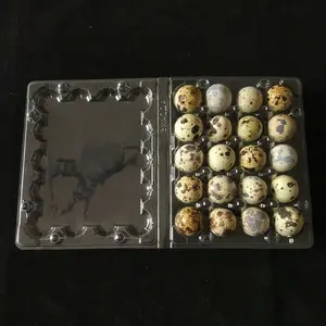 High Quality 15 20 Holes Quail Eggs Carton Packing Box Clear Plastic Egg Tray Packaging For Quail Chicken