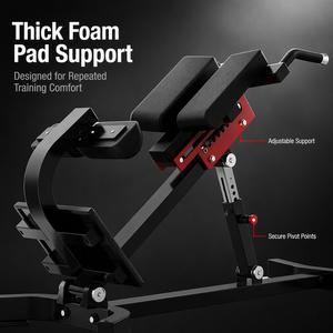 Silla Romana Ajustable de 45 Grados, Banco de Hiperextensión, Equipo de Gimnasio Comercial para Entrenamiento de Core, Venta Directa de Fábrica, Bajo MOQ - Product Image 3
